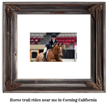 horse trail rides near me in Corning, California